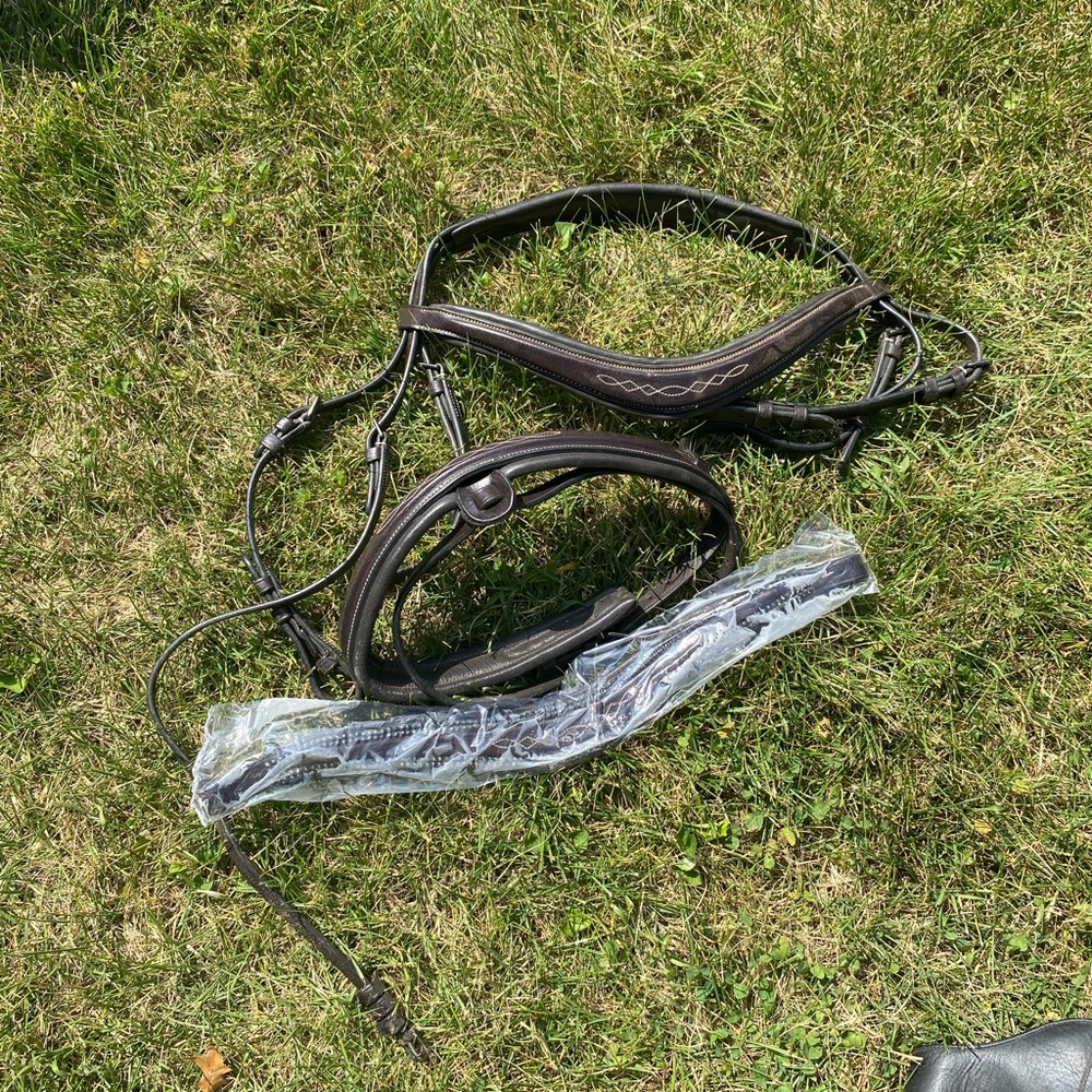 Exselle fancy stitched bridle
